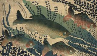 Georges Manzana-Pissarro - Fish