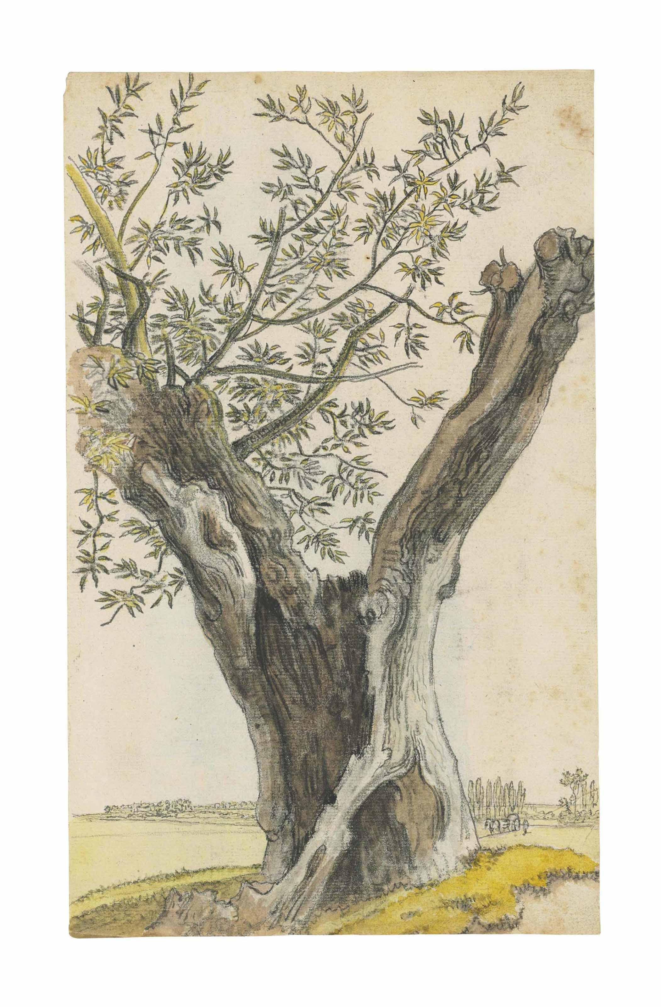 Georges Michel - Étude d’un saule écimé (recto) ; Maisons le long d’une rue d’un village (verso)