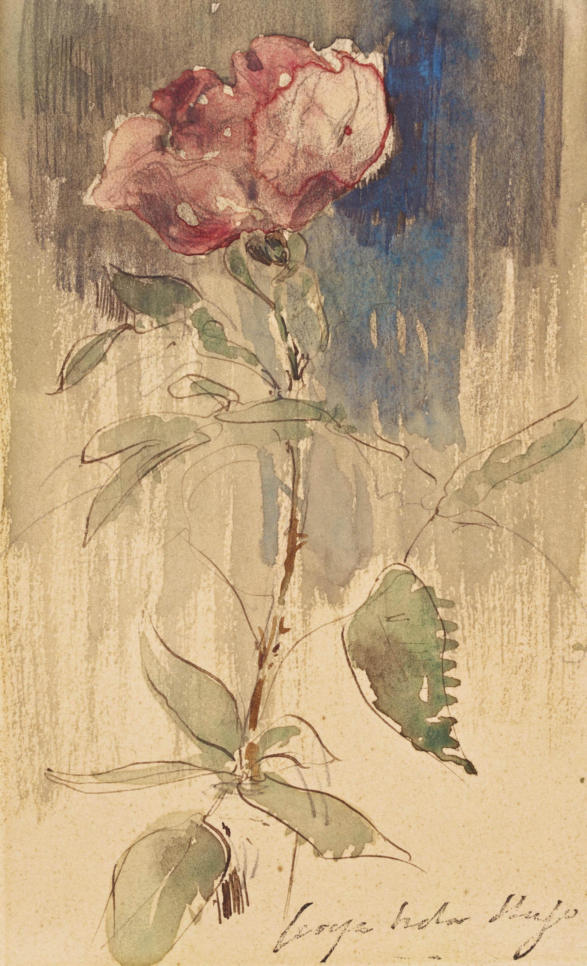 Georges-Victor Hugo - Etude de rose