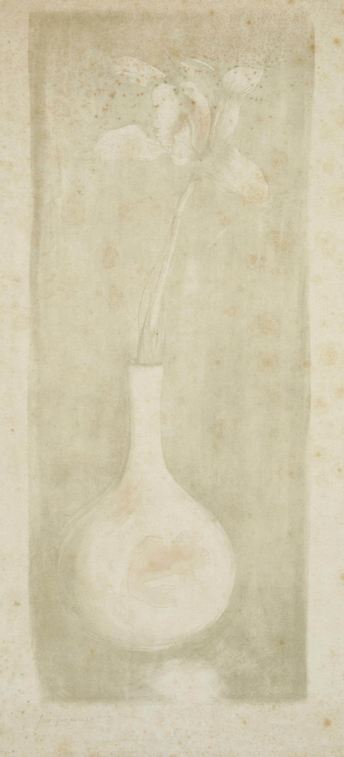 Georges-Victor Hugo - Iris et lys