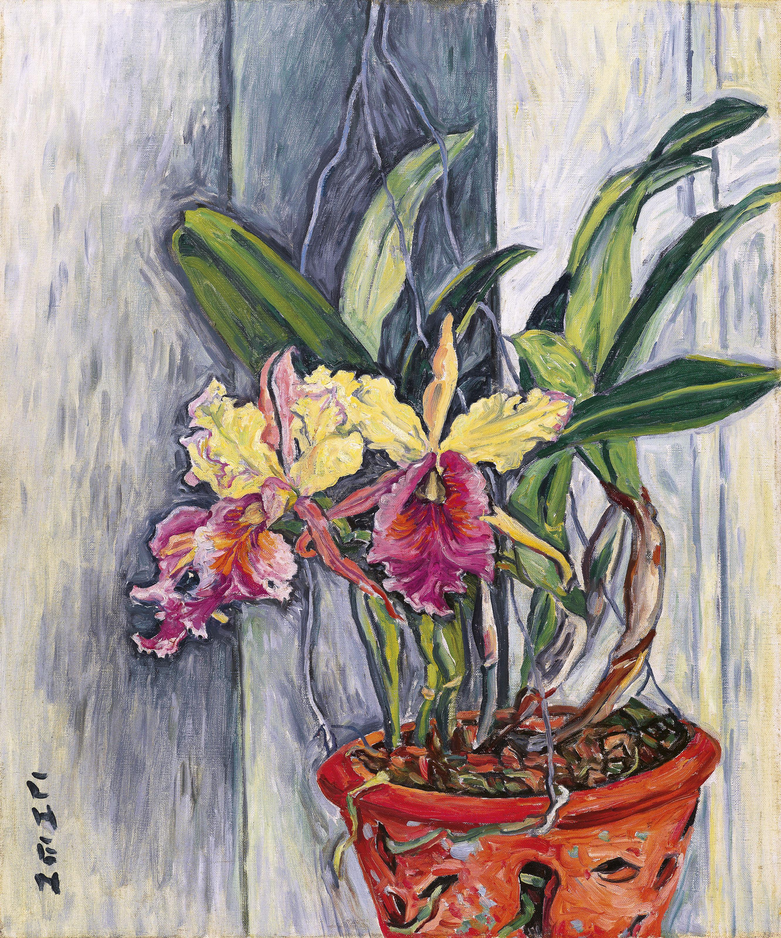 Georgette Chen - Cattleya Orchid