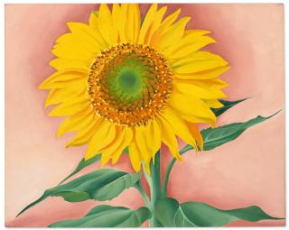 Georgia O\'Keeffe - A Sunflower from Maggie