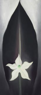 Georgia O\'Keeffe - Autumn Leaf With White Flower