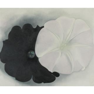 Georgia O\'Keeffe - Black Petunia And White Morning Glory I