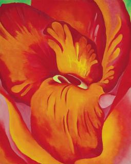 Georgia O\'Keeffe - Canna Red and Orange