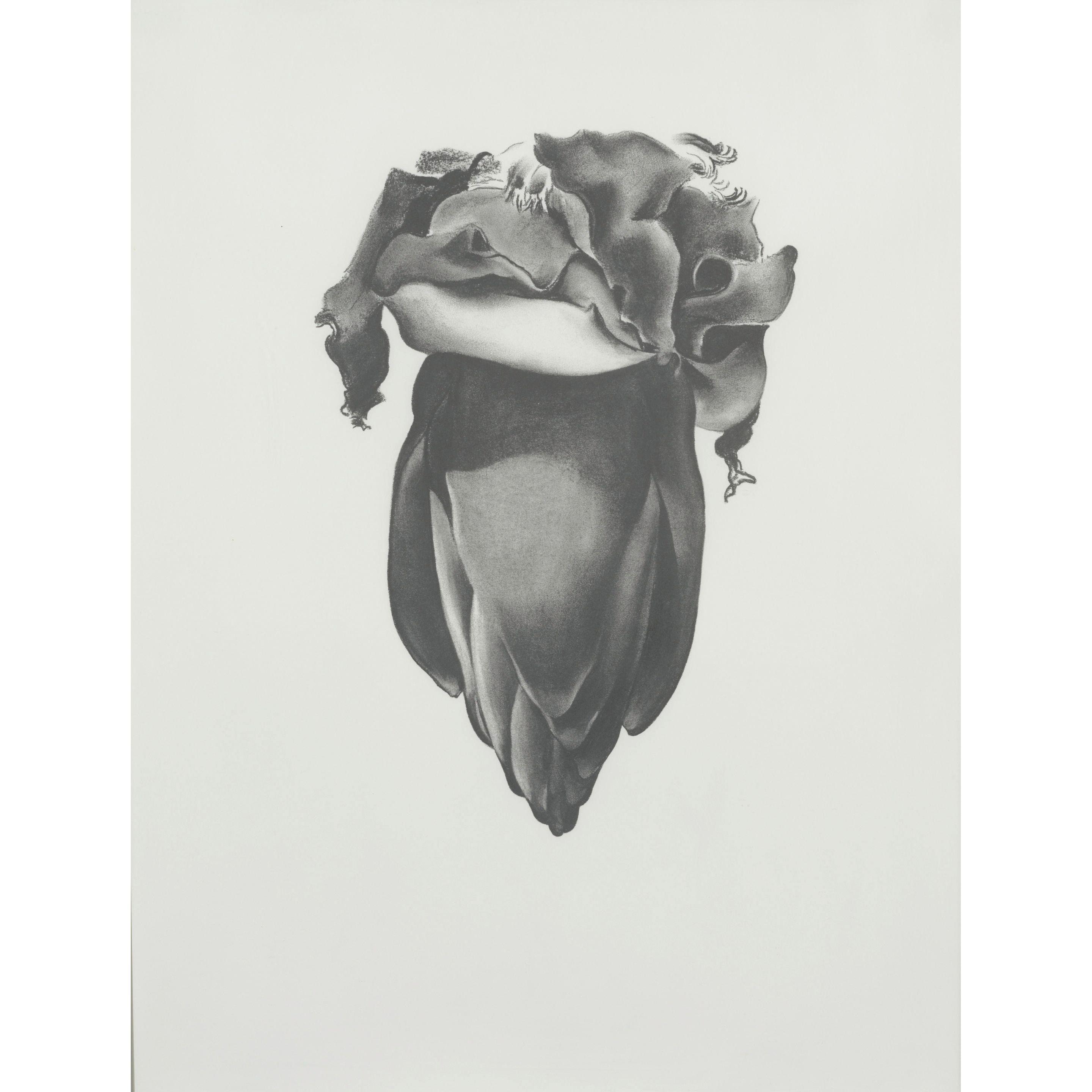 Georgia O\'Keeffe - Drawings (10 works)