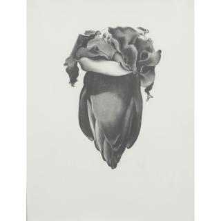 Georgia O\'Keeffe - Drawings (10 works)