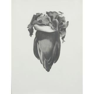 Georgia O\'Keeffe - Drawings (10 works)