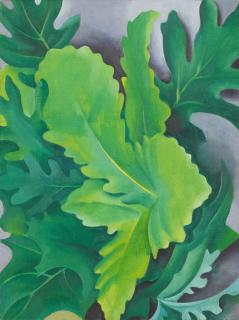 Georgia O\'Keeffe - Green Oak Leaves