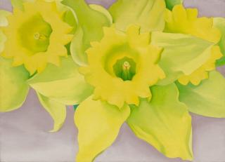 Georgia O’Keeffe - Jonquils I
