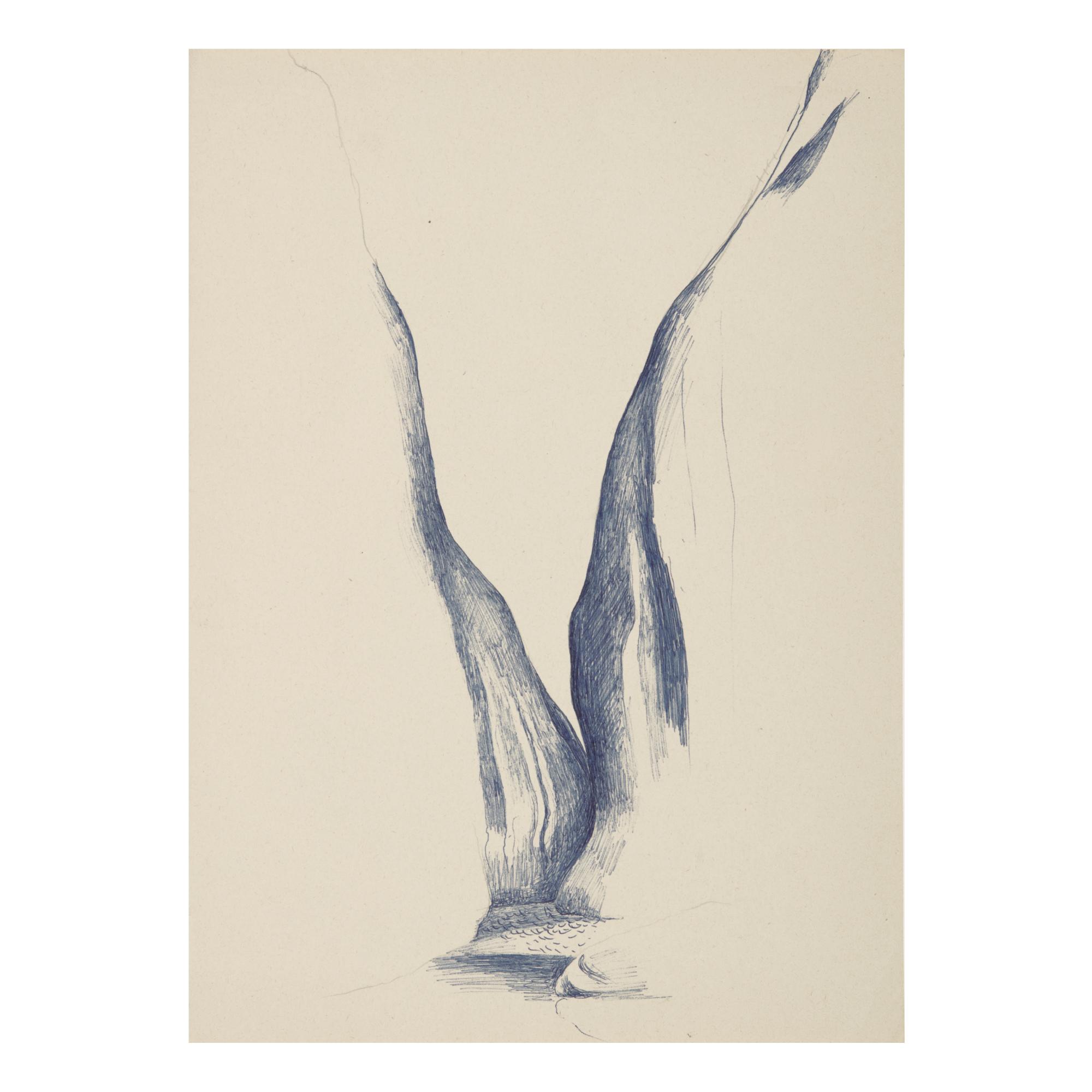 Georgia O\'Keeffe - Off The End Of The Boat On A River Trip