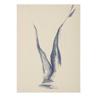 Georgia O\'Keeffe - Off The End Of The Boat On A River Trip