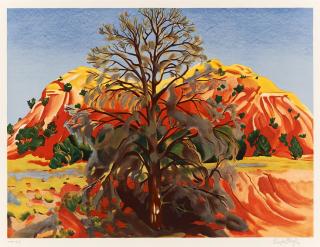 Georgia O\'Keeffe - Ohne Titel (Dead tree with pink hill)