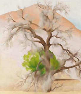 Georgia O\'Keeffe - Piñons with Cedar