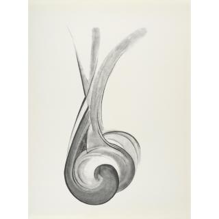 Georgia O\'Keeffe - Plate VII, from Drawings