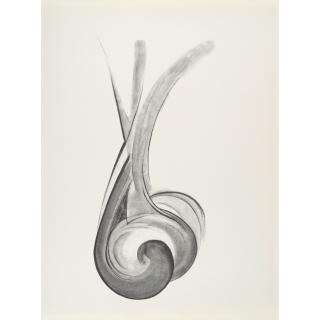Georgia O\'Keeffe - Plate VII, from Drawings