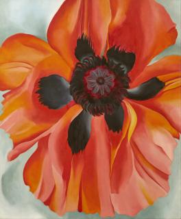Georgia O\'Keeffe - Red Poppy