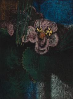 Georgia O\'Keeffe - Untitled (Flower)