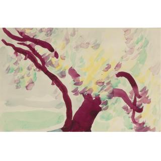 Georgia O\'Keeffe - Untitled (Old Tree)