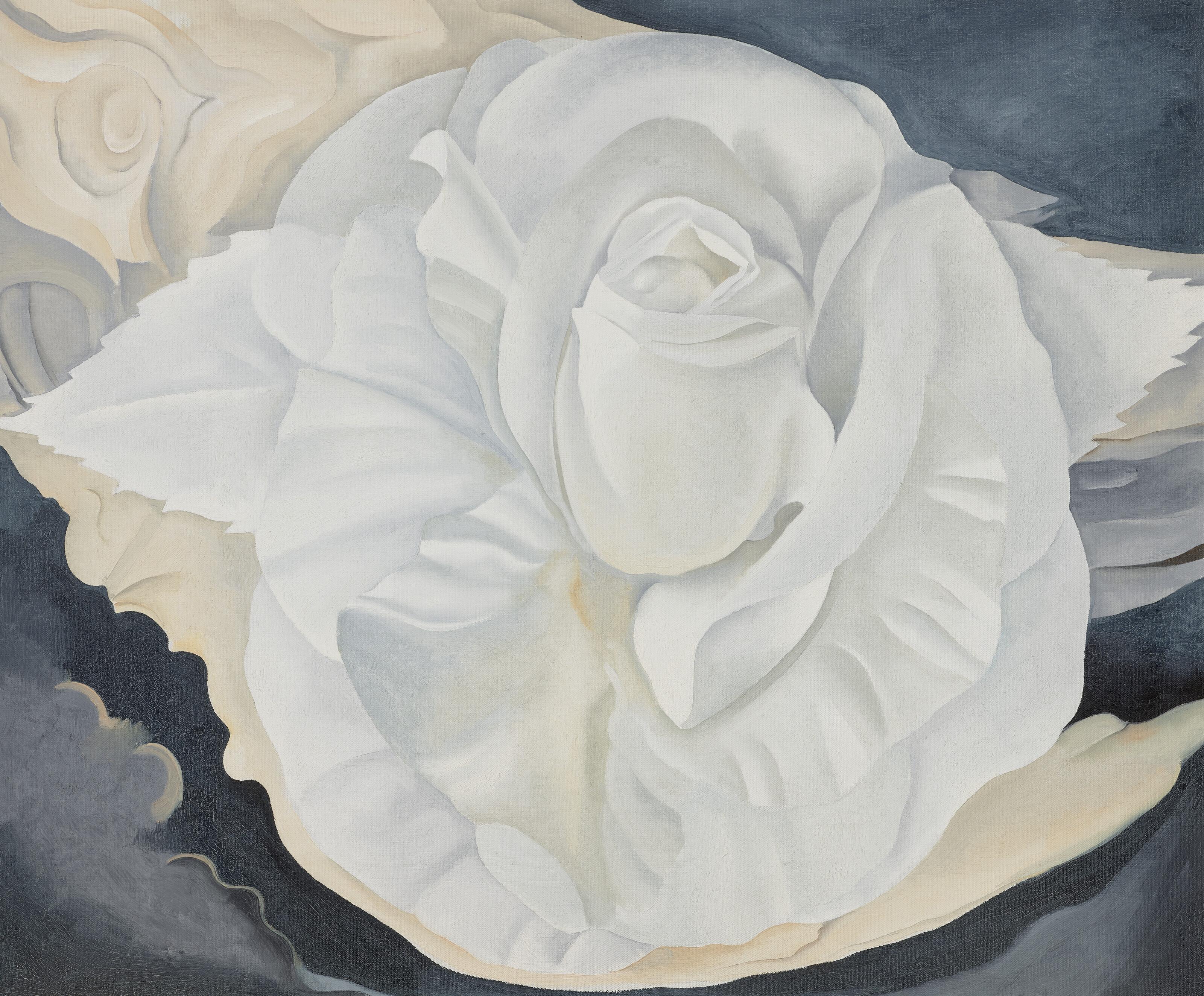Georgia O\'Keeffe - White Calico Rose