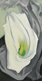 Georgia O\'Keeffe - White Calla Lily