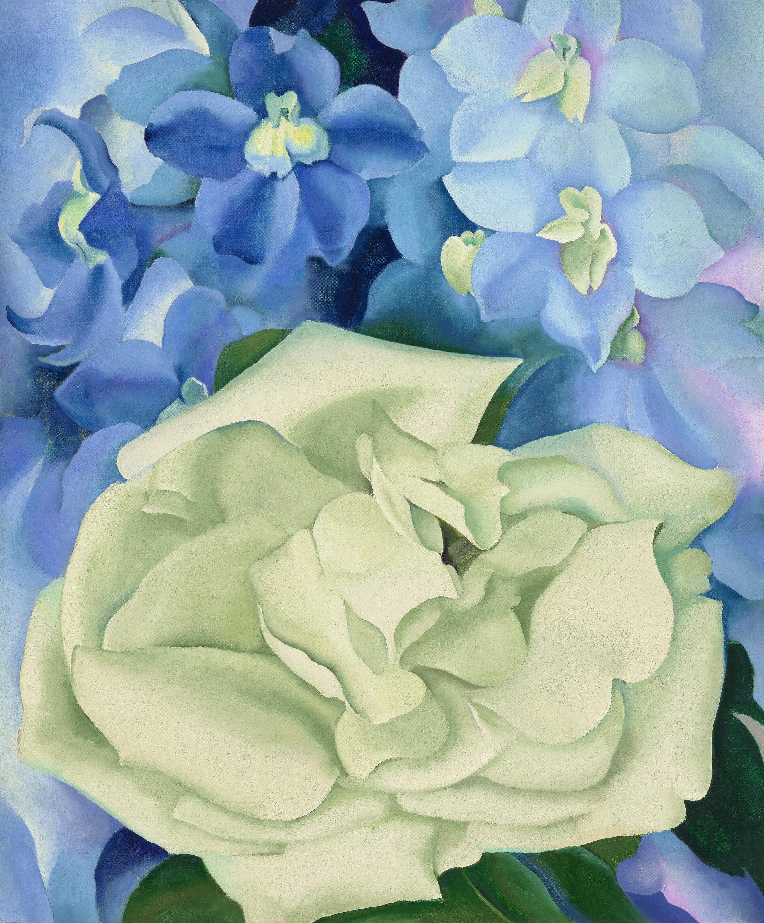 Georgia O\'Keeffe - White Rose with Larkspur No. I