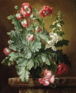 Gerald Cooper - Still life with poppies and hollyhocks