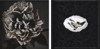 Geraldine Javier - Ash