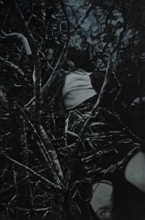 Geraldine Javier - By The Tree\'S Strange Roots