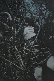 Geraldine Javier - By The Tree\'S Strange Roots