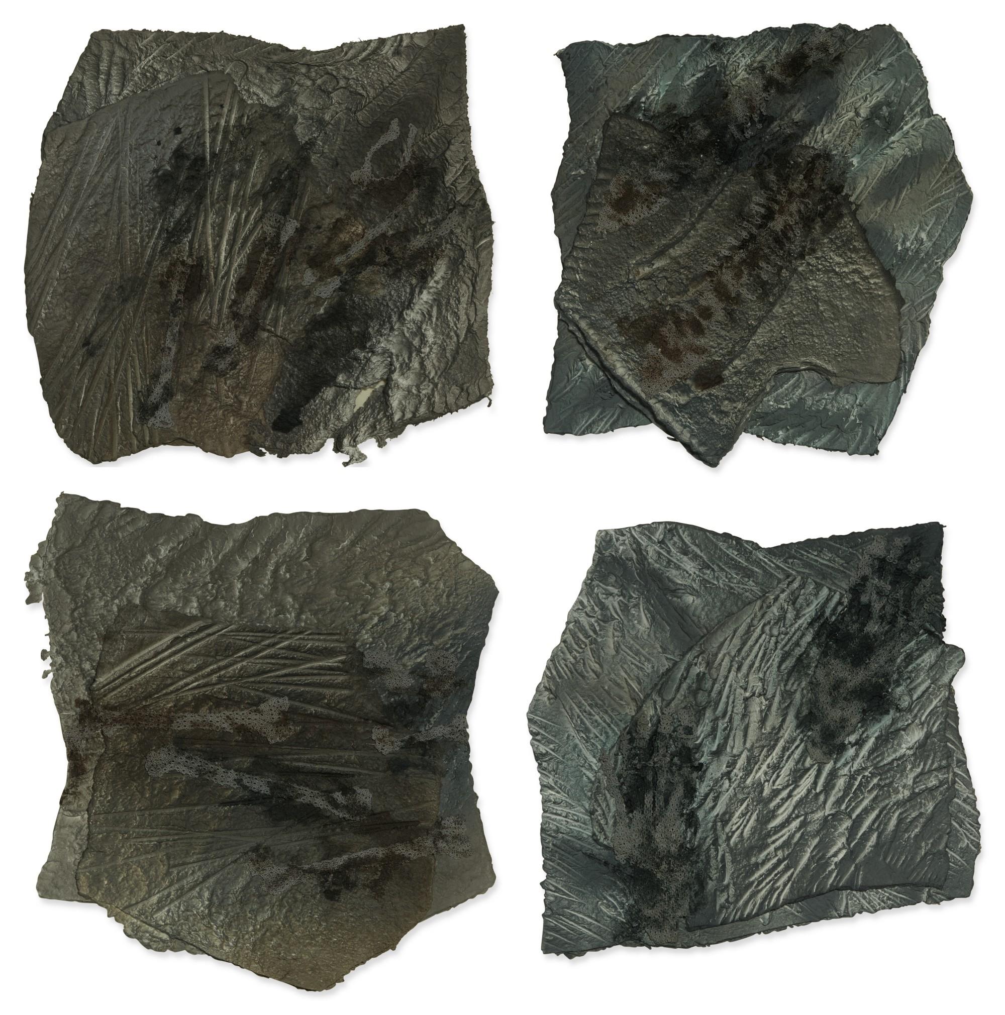 Geraldine Javier - (I) Piltdown Man D, (Ii) Pildown Man F, (Iii) Piltdown Man G, (Iv) Piltdown Man H