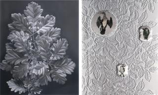 Geraldine Javier - Snow 