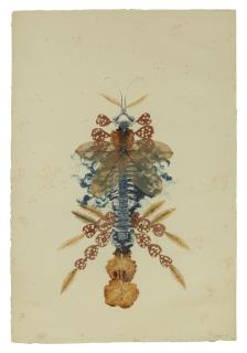 Geraldine Javier - Vertebraesomniumanisoptera C