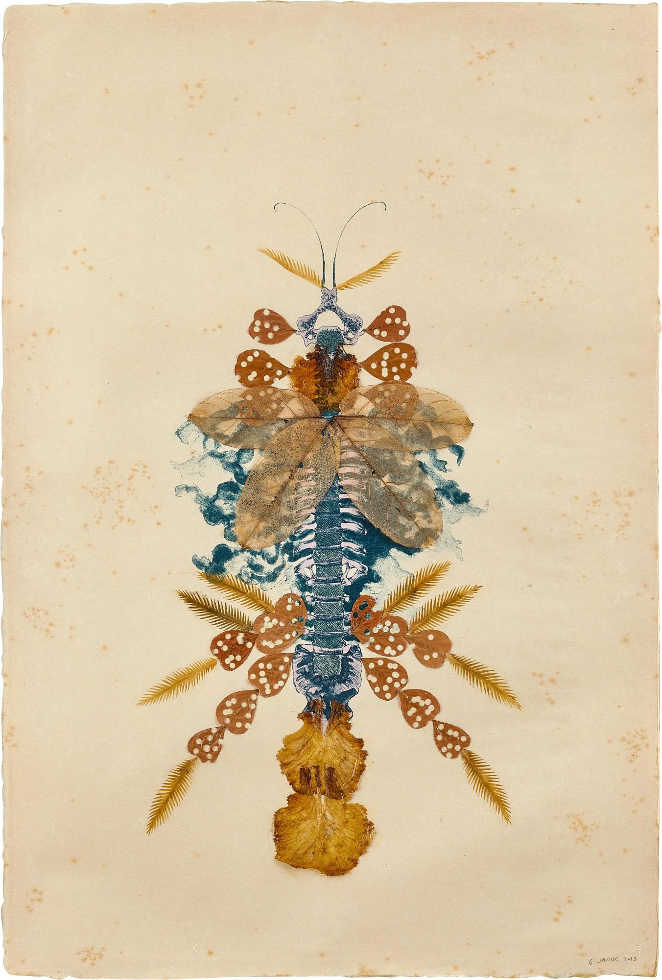 Geraldine Javier - Vertebraesomniumanisoptera C