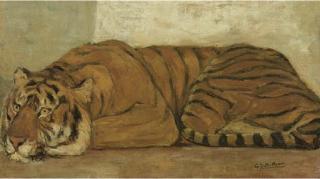 Gerard Johan Staller - A tiger