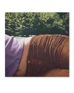 Gérard Schlosser - Ça donne dans une cour