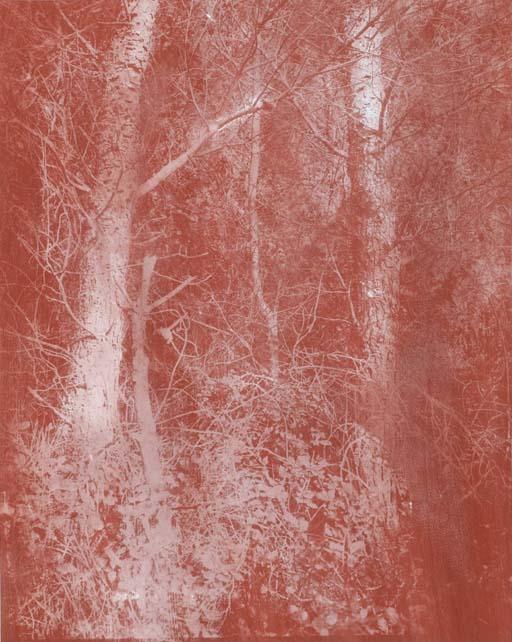 Gerard Traquandi - Forêt Rouge