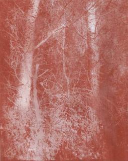 Gerard Traquandi - Forêt Rouge