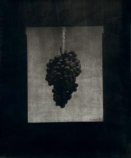 Gerard Traquandi - Sans titre (grappe de raisin), 1991