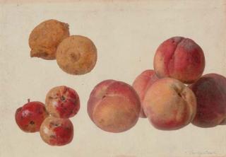 Gerard van Spaendonck - A study of peaches, lemons and crabapples