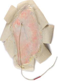 Gerhard Hoehme - „Lara“.