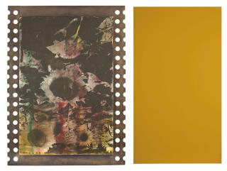 Gerhard Merz - Sonnenblumen und Monochromie (Sunflower and Monochrome)