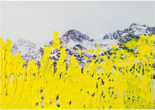 Gerhard Richter - 20.5.92