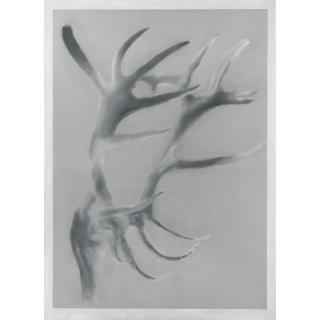 Gerhard Richter - Geweih (Antlers)