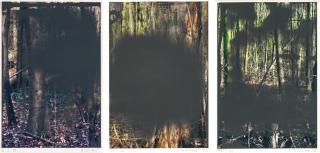 Gerhard Richter - I. 2.2.08 (Grauwald) Ii. Wald (74/80) Iii. Wald (40/80)