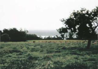 Gerhard Richter - Laacher Wiese (Laacher Meadow)