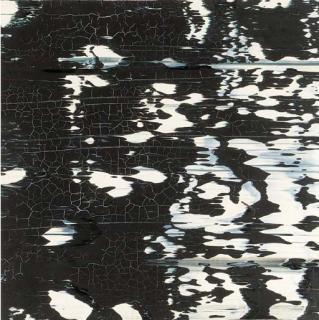 Gerhard Richter - Souvenir