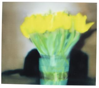 Gerhard Richter - Tulips (P17)