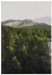 Gerhard Richter - Waldhaus (P18)