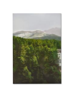 Gerhard Richter - Waldhaus（P18）